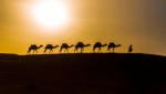Three Nights Camel Trek in Merzouga