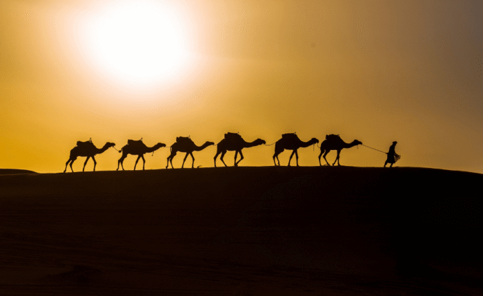 Three Nights Camel Trek in Merzouga
