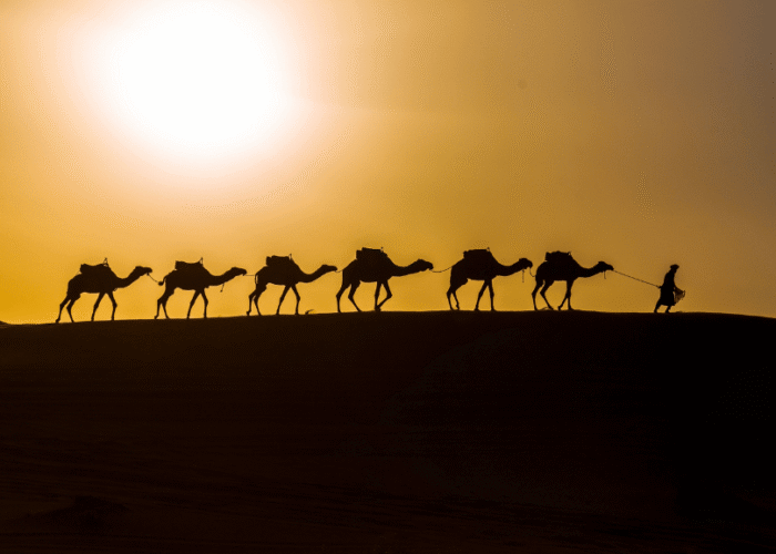 Three Nights Camel Trek in Merzouga