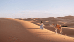 Two Nights Camel Trek in Merzouga
