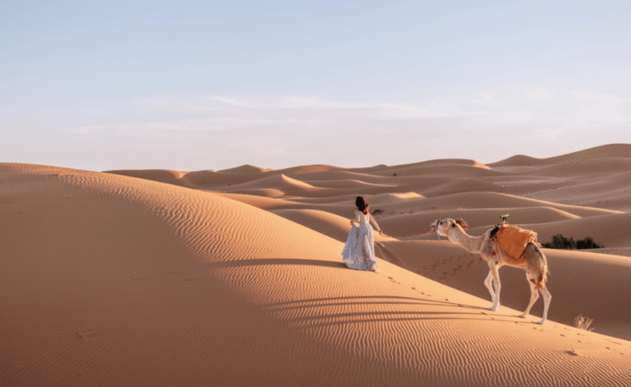 Two Nights Camel Trek in Merzouga