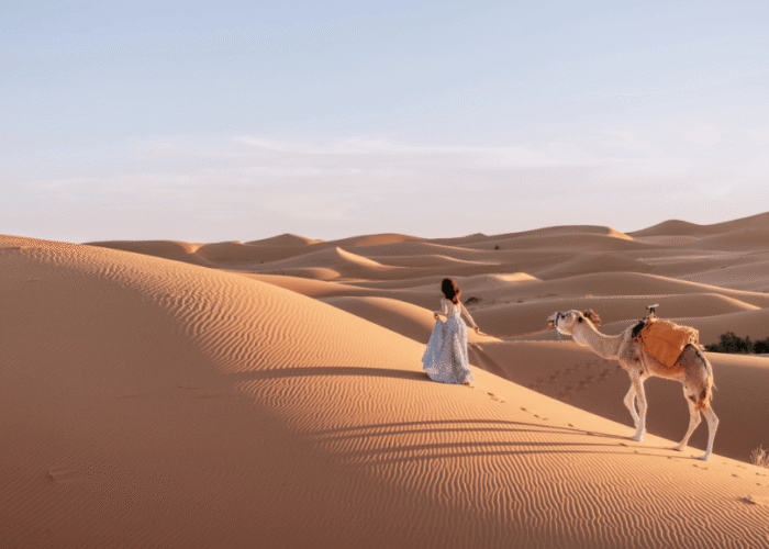 Two Nights Camel Trek in Merzouga